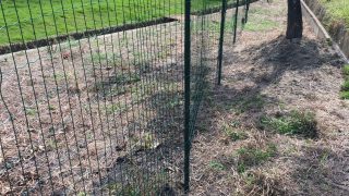 Thumbnail of post image 135