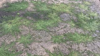 Thumbnail of post image 177