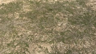 Thumbnail of post image 025