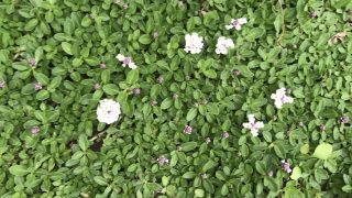 Thumbnail of post image 018